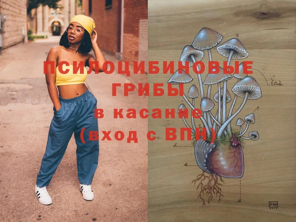 эйфоретик Алексин