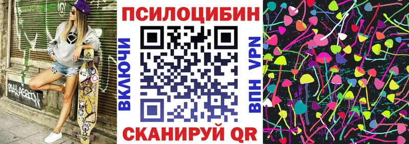 Галлюциногенные грибы Cubensis Гвардейск