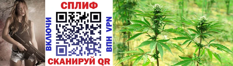 цена   Гвардейск  Канабис White Widow 